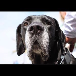 Meet your Posher, Cindy